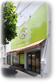 当院外観 当院外観